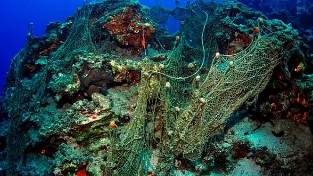 Hayalet ağlar temizleniyor.