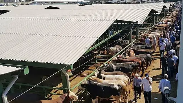 Hayvan Pazarı Geçici Süreyle Kapatıldı