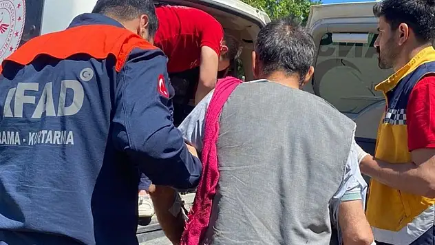 Hayvanlarını otlatırken ayının saldırdığı kişi yaralandı