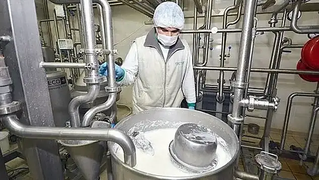 Haziran'da İnek Sütü Toplama ve Üretimde Artış, Ancak Aylık Bazda Düşüş