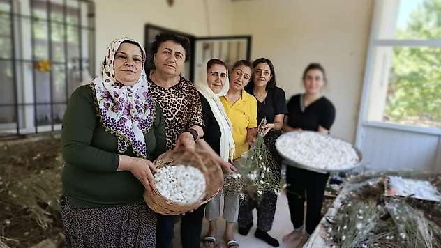 Hekimhanlı Kadınlar İpek Böceği Yetiştiriciliğiyle Üretime Katılacak