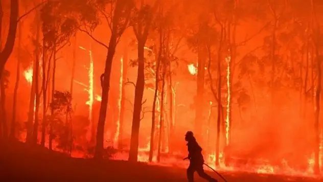 İklim değişikliği 'mega yangın' riskini artırıyor