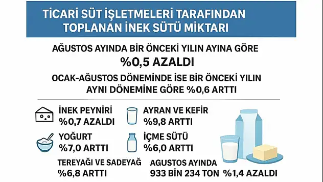 İnek Peyniri Üretimi Düşerken, Yoğurt ve Ayranda Büyük Artış