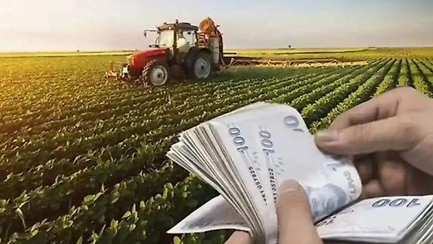 IPARD III kapsamında temmuzda 634,3 milyon lira hibe desteği sağlandı