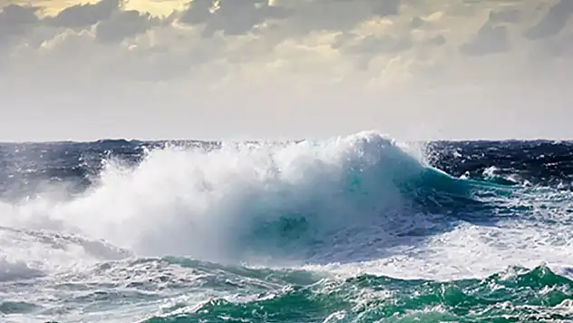 İstanbul Beykoz'da 4 günlük denize girme yasağı