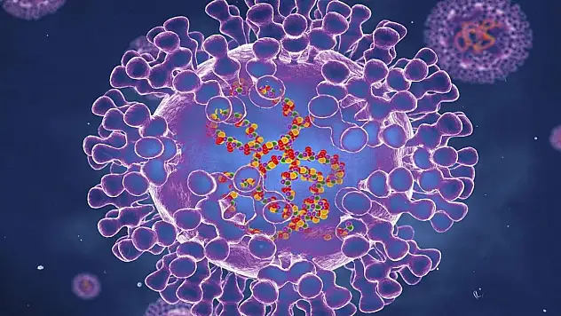 'İstanbul'da maymun çiçeği görüldü' iddialarına açıklama