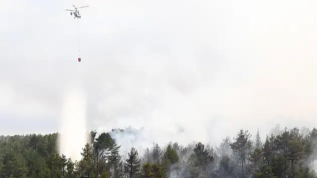 İzmir'de 2 ayrı noktada orman yangını: Hava ve karadan müdahale sürüyor