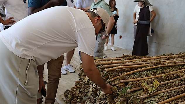 İzmir, Dünya Tütün Biliminin Buluşma Noktası Oldu