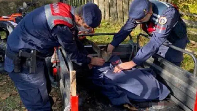 Jandarma, Yaralı Karacanın Üzerine Üşümemesi İçin Montunu Örttü