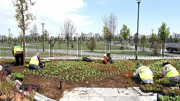 Kadın Eliyle Güzelleşen Şehir: Malatya'da Parklar Çiçek Açtı