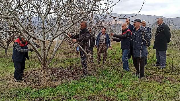 Kale'de Çiftçilere Uygulamalı Budama Eğitimi