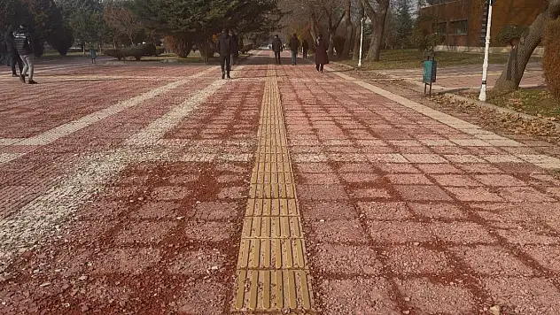 Kampüsün Kalbi Bakımsız Kaldı