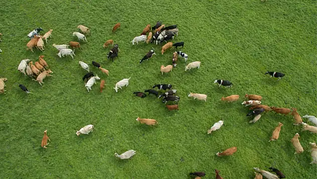 Kapasitesini Güncellemeyen Başvuramayacak
