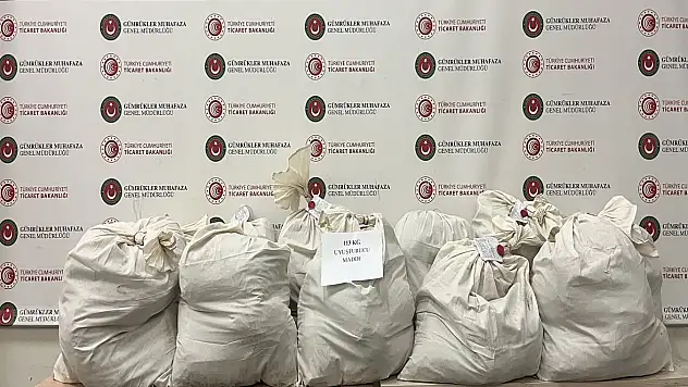 Kapıkule'de Tırın Dorsesinde 113 Kilo Esrar Ele Geçirildi