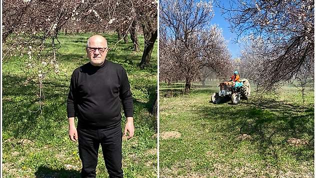 Kayısı 'Beka Meselesi': Yağlıcı'dan Üretici ve Tüccara Kritik Uyarılar