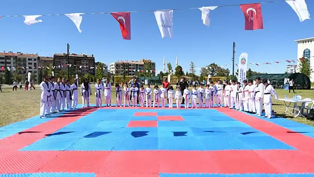 Kayısı Festivali Kapsamında Spor Şenliği Düzenlendi