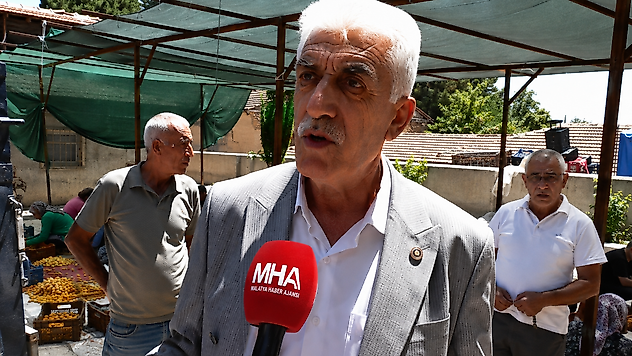 Kayısı Üreticisinden TMO Çağrısı: 'Fiyat Maliyetin Altında, Müdahale Şart'