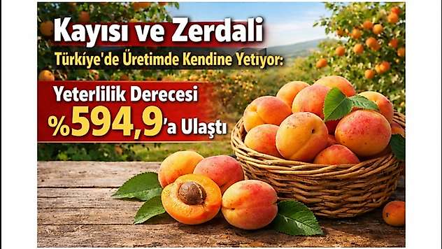 Kayısı ve Zerdali Türkiye'de Üretimde Kendine Yetiyor: Yeterlilik Derecesi %594,9'a Ulaştı