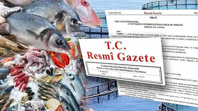 Kilogram Başına Alabalığa 75 Kuruş Destek