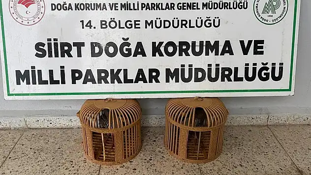 Kınalı keklik satın alan kişiye 19 bin 977 TL ceza kesildi