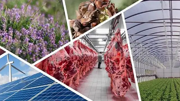 Kırsal Kalkınmada Yeni Dönem: Hibe Oranları %70'e Çıktı