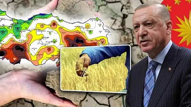 Kuraklıktan Etkilenen Çiftçiye Dekar Başına 100 TL Destek…