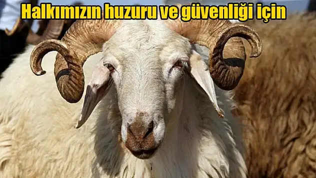 Kurban Bayramı Tedbirleri