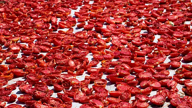 Kuru domates ihracatı 100 milyon doları aştı