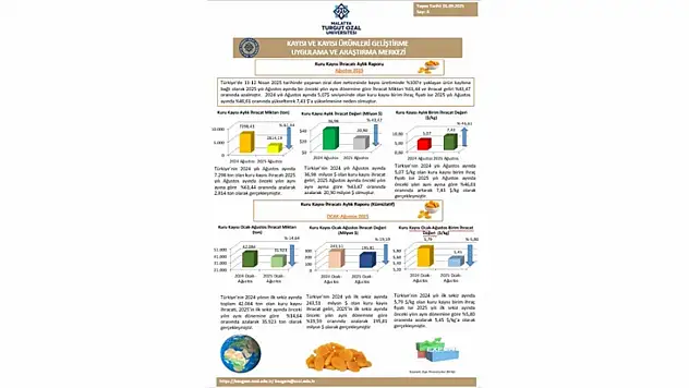 Kuru Kayısıda Gelir Kaybı: 2025 Ağustos'ta İhracat 21 Milyon Dolarda Kaldı