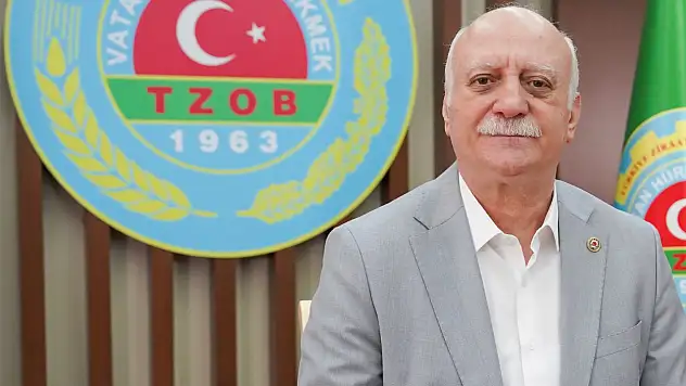 kuru kayısıda pazarlama sorunu