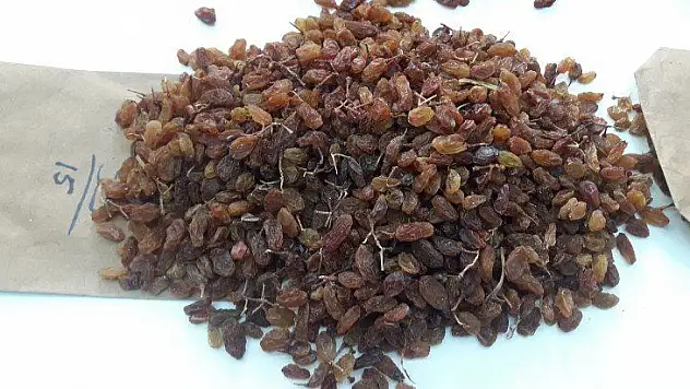 Kuru üzüm üreticilerinin imdadına TMO yetişti