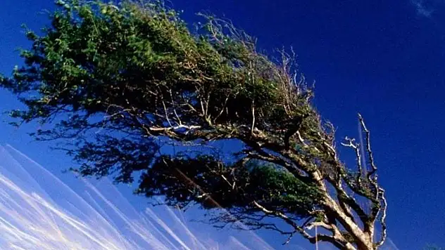 Malatya Çevrelerinde Kuvvetli Rüzgar ve Fırtına Bekleniyor!