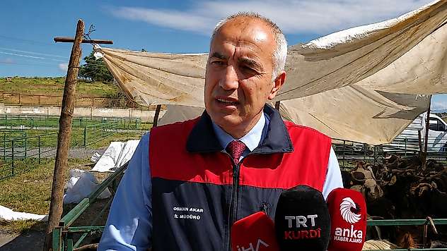 Malatya'da 45 Bin'in Üzerinde Kurbanlık Hazır