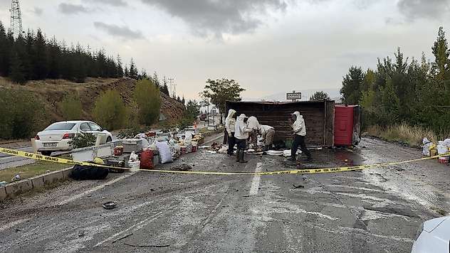 Malatya'da Arı Yüklü Kamyon Devrildi: 3 Yaralı