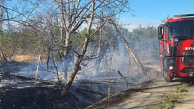 Malatya'da bahçe yangını: Çok sayıdaki kayısı ağacı kül oldu