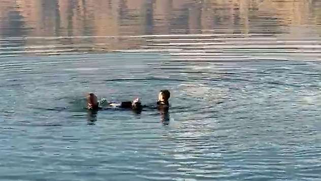 Malatya'da barajda erkek cesedi bulundu
