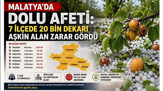 Malatya'da Dolu Afeti: 7 İlçede 20 Bin Dekarı Aşkın Alan Zarar Gördü