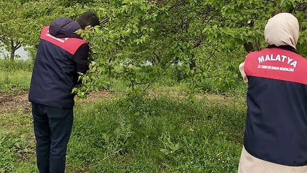 Malatya'da Dolu Felaketi: Hasar Tespit Çalışmaları Başladı