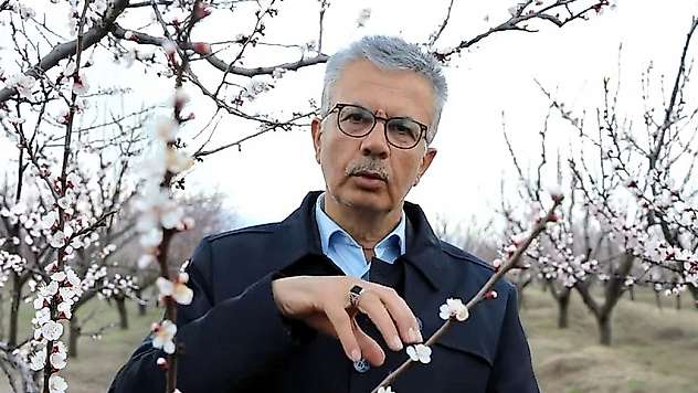 Malatya'da Don Tedirginliği: 'Geniş Çaplı Risk Düşük Ama Lokal Tehlike Var'
