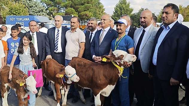 Malatya'da 'En Güzel Buzağı' yarışması düzenlendi