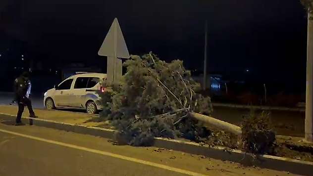Malatya'da fırtına ağaçları kökünden söktü