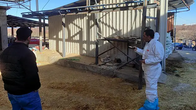 Malatya'da Hayvancılık İşletmelerinde TÜRKVET Kayıt ve Kapasite Tespiti Sürüyor