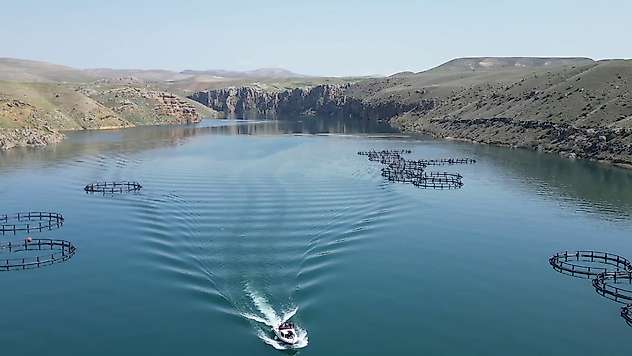 Malatya'da kaçak avcılık yapanlara 80 bin 530 TL ceza uygulandı