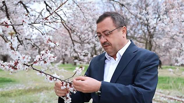 Malatya'da Kayısı Çiçekleri Umut Oldu: Ali Bakan'dan Üreticiye Destek Mesajı