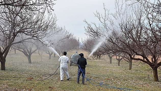 Malatya'da Kayısı Üreticilerine İlkbahar İlaçlama Uyarısı