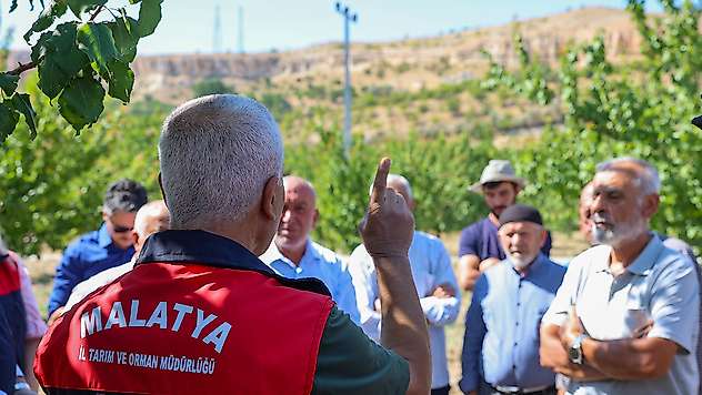 Malatya'da Kayısı Üreticilerine 'Tarla Okulu' Eğitimi