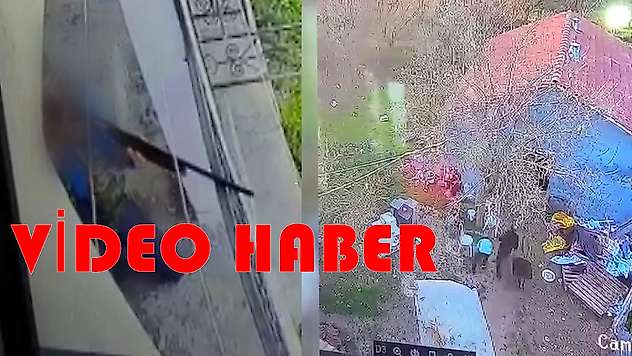 Malatya'da Komşu Kavgası Tüfekli Saldırıya Döndü