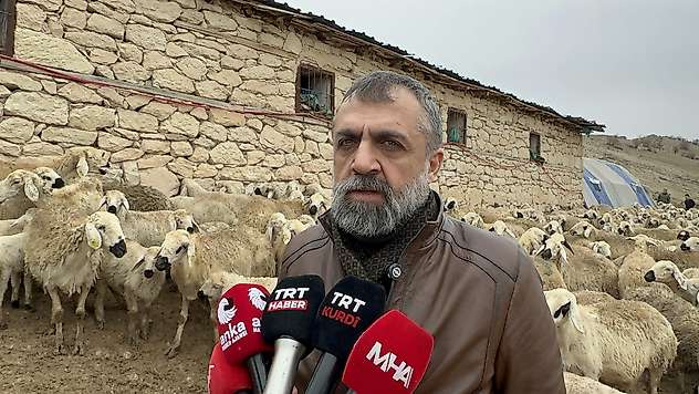 Malatya'da Kuzu Doğum Sezonu Başladı: Ağıllarda Yoğun Mesai