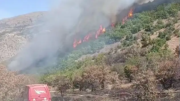 Malatya'da orman yangını