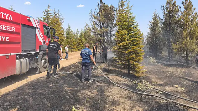 Malatya'da ormanlık alanda yangın: 20 hektar alan zarar gördü